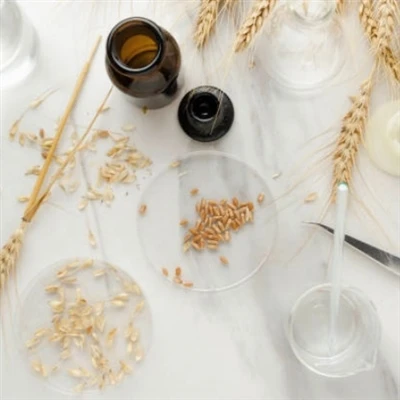 Bagaimana cairan protein gandum terhidrolisis diterapkan dalam kosmetik?
